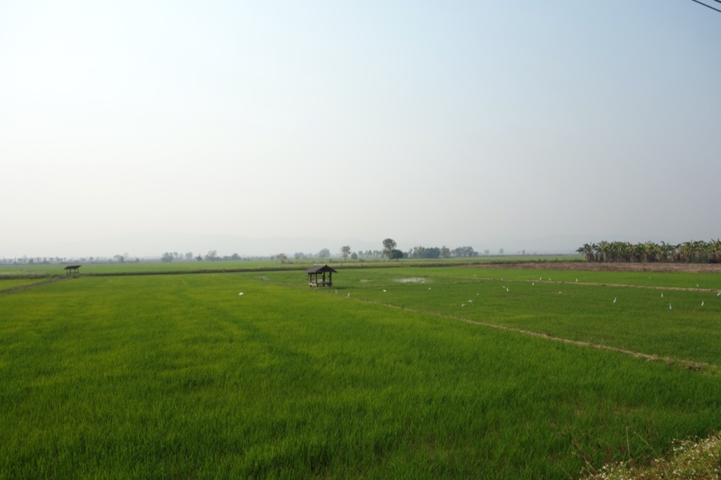 DSC02050