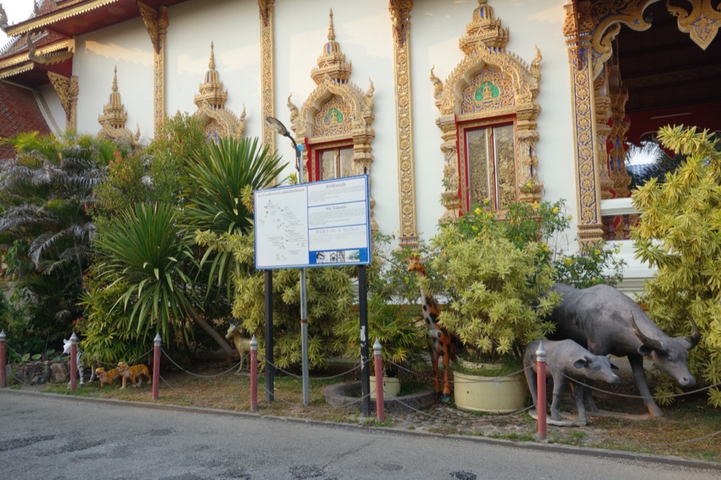 DSC02095