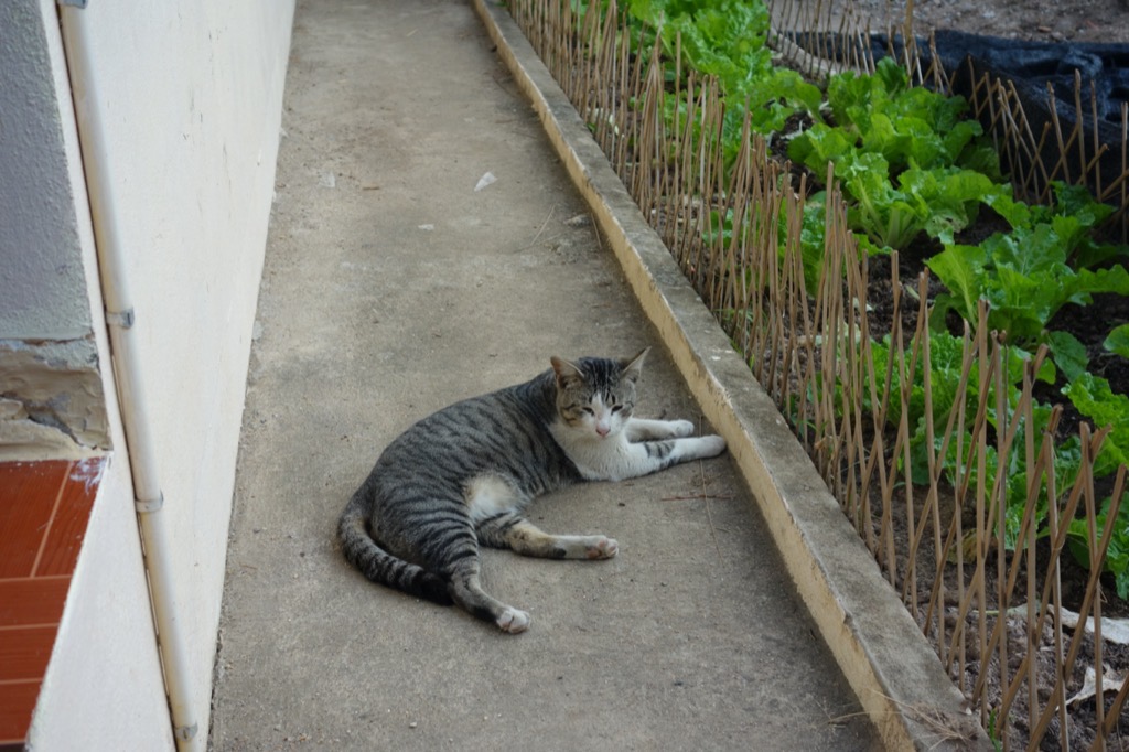 DSC02104