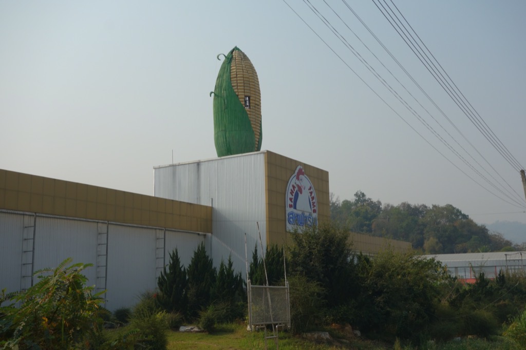 DSC02172