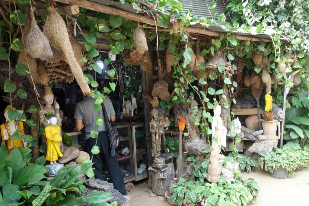 DSC02248