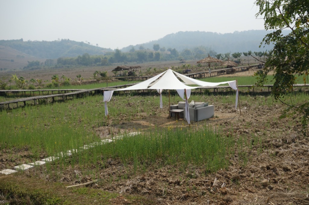 DSC02264
