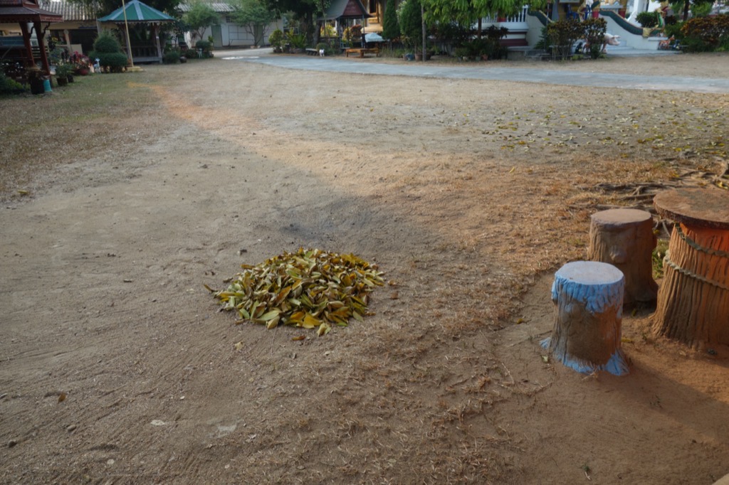 DSC02310