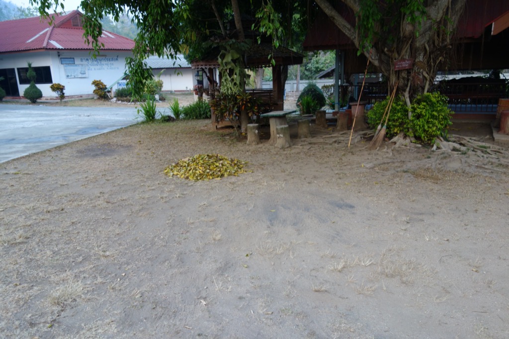 DSC02330