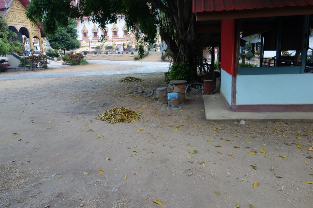 DSC02338