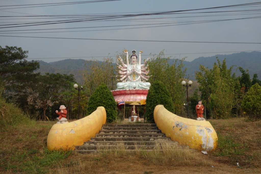 DSC02376