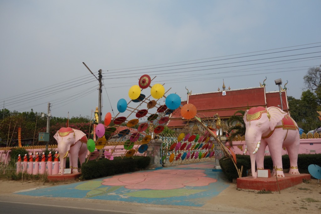 DSC02410