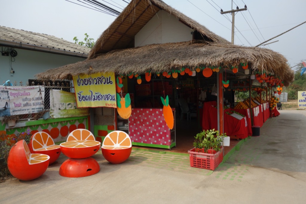 DSC02411