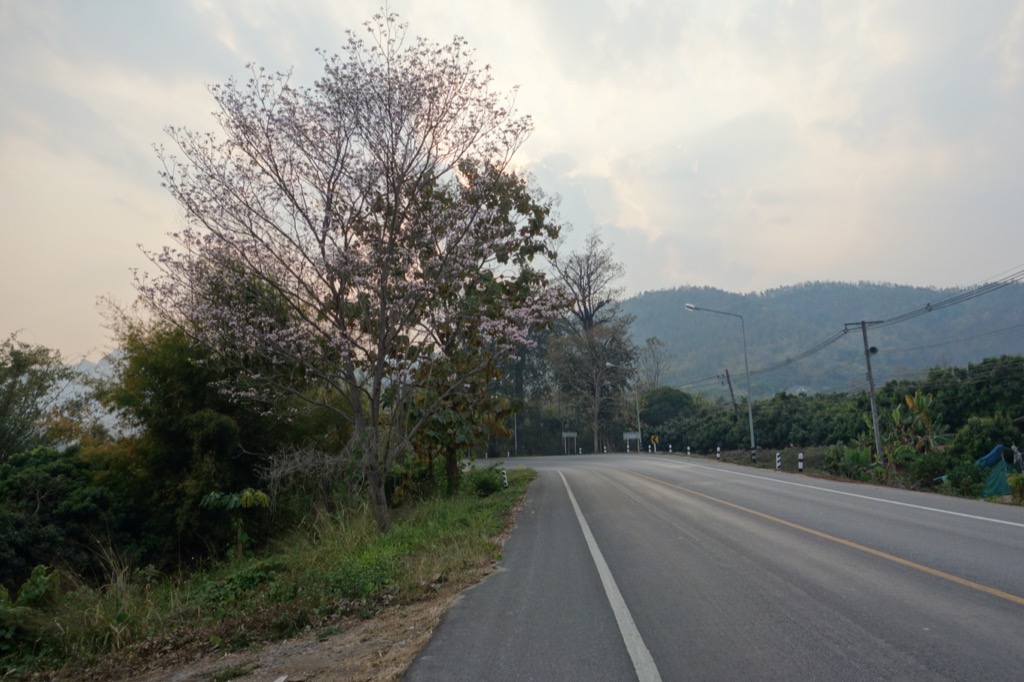 DSC02480