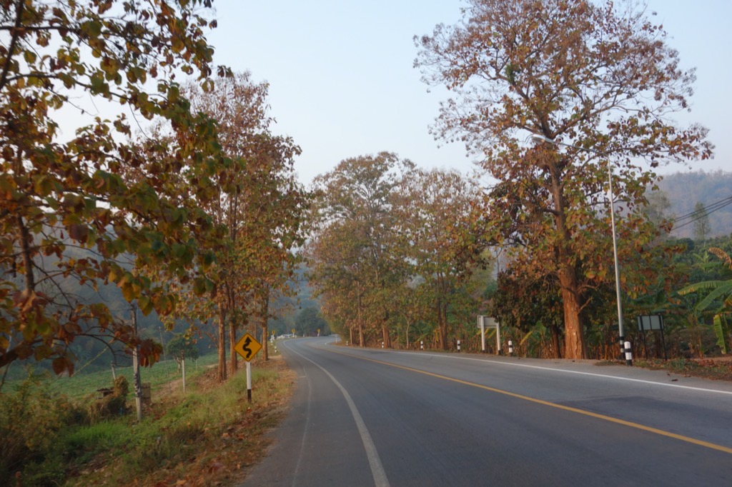DSC02514