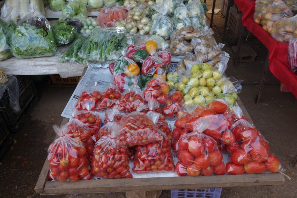 DSC02547