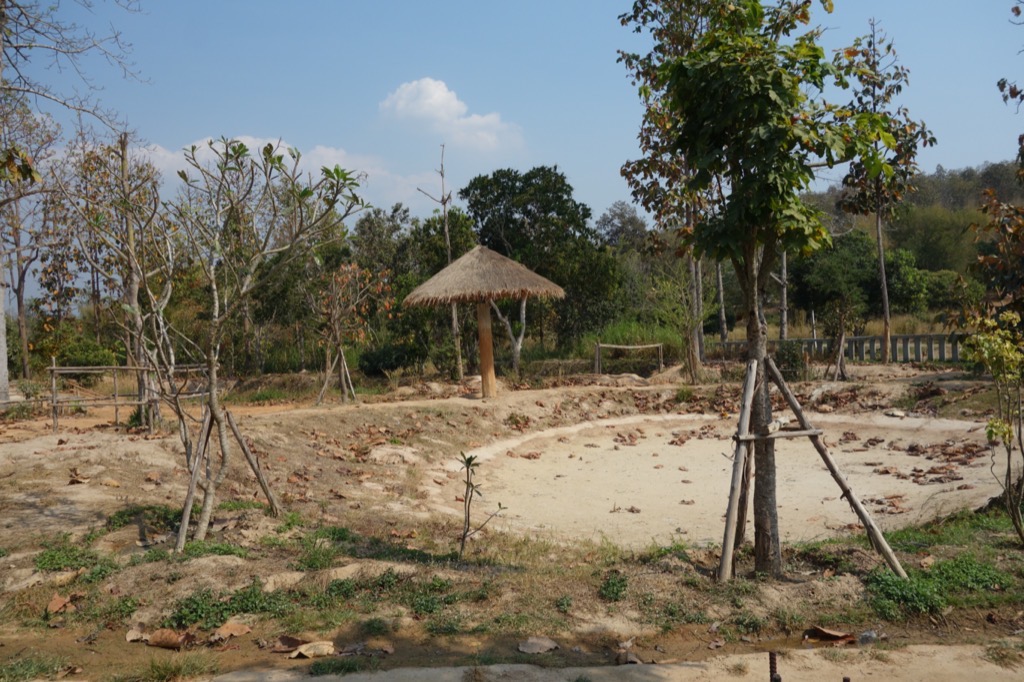DSC02603